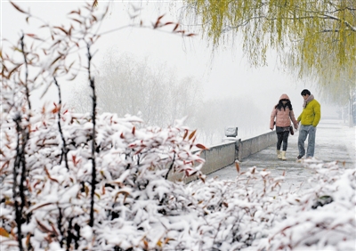 又下雪了,好大好美哦!--洛阳晚报--河南省第一家